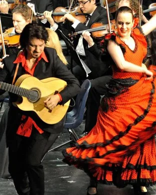 Sonida Gallo Negro Asheville