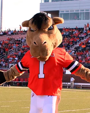 Campbell Fighting Camels Football Johnson City