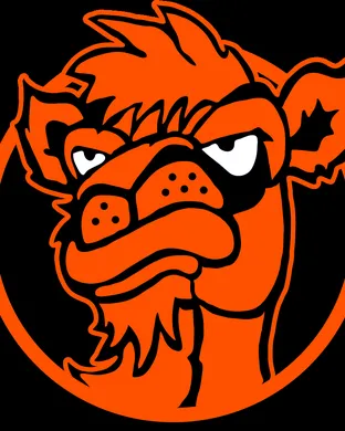 Campbell Fighting Camels Johnson City