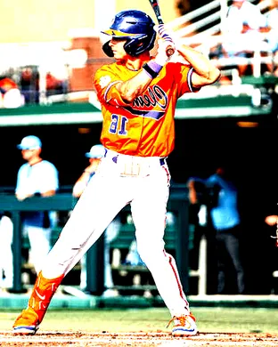 Clemson Tigers Baseball Spartanburg