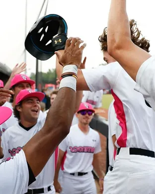 Florence Flamingos Boone