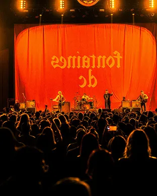 Fontaines D.C. Asheville