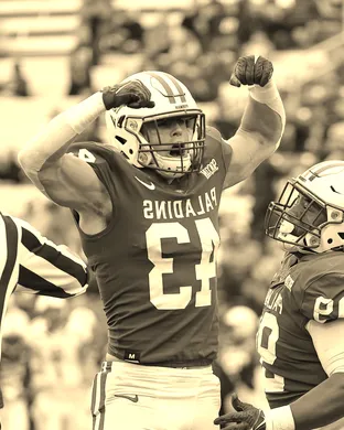 Furman Paladins Football Greenville