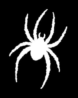 Richmond Spiders Football University Of Richmond