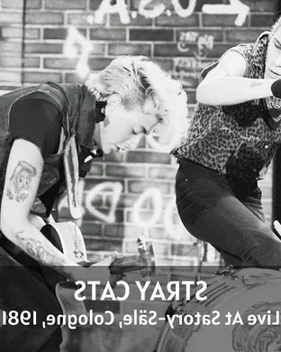 Stray Cats Cherokee