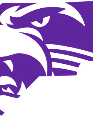 Western Carolina Catamounts Johnson City