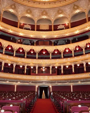 Janiec Opera Company Brevard